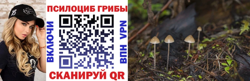 Псилоцибиновые грибы мухоморы Апрелевка